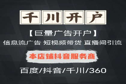SEM运营中的数据分析和优化案例研究